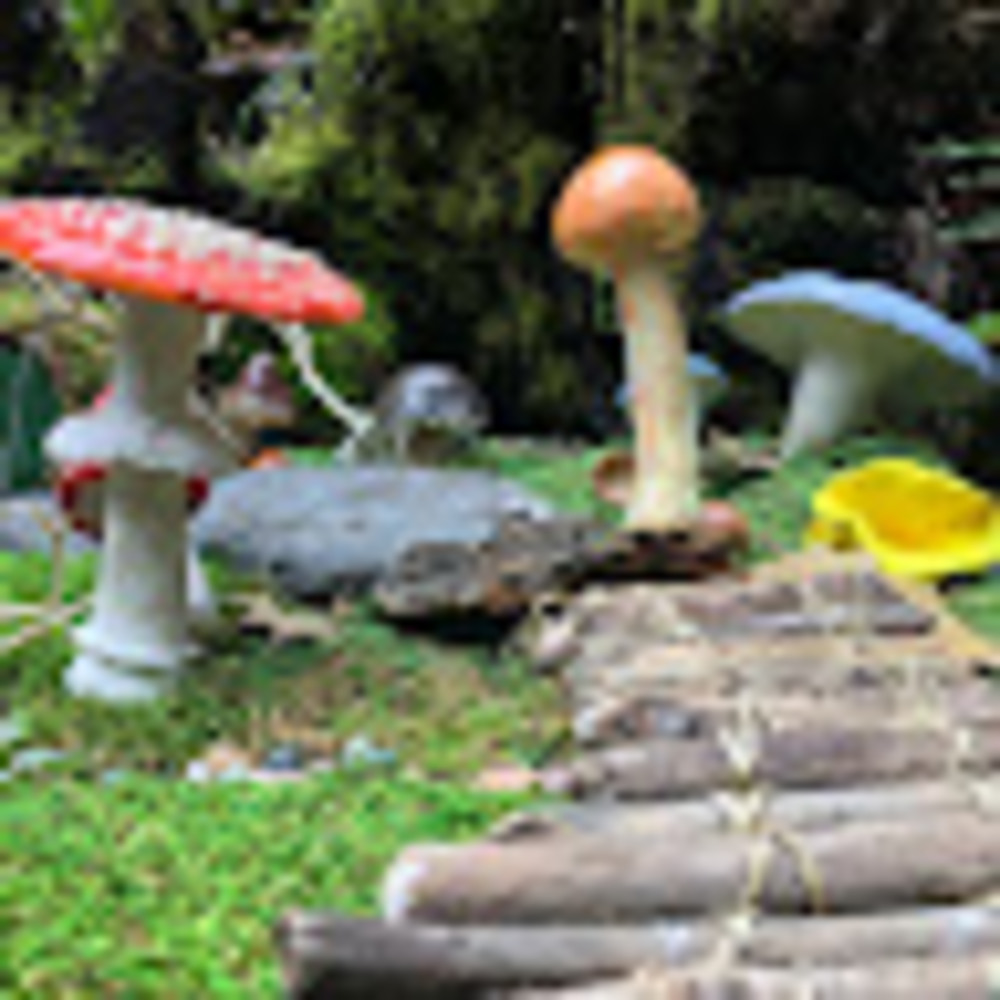 Meet your Posher, Jaimie